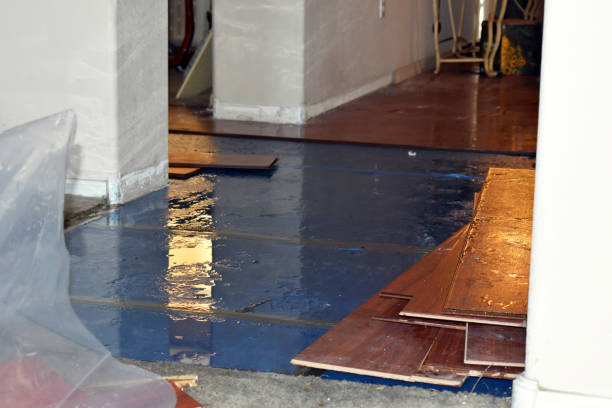 Professional Water Damage Restoration technician working in Glendora, NJ